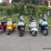 MOTOINCONTRO DELL'OCA